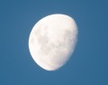 0221-1949 Moon (1010974)